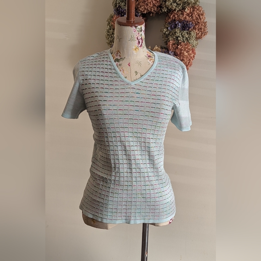 Camela elegant Pastel Blue V-Neck Short Sleeve Top‎